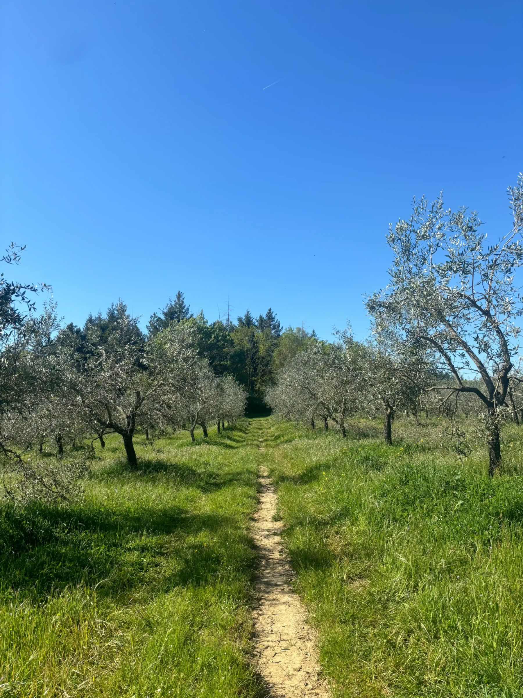 Yoga & Fitness – (4 Day/3 Night)