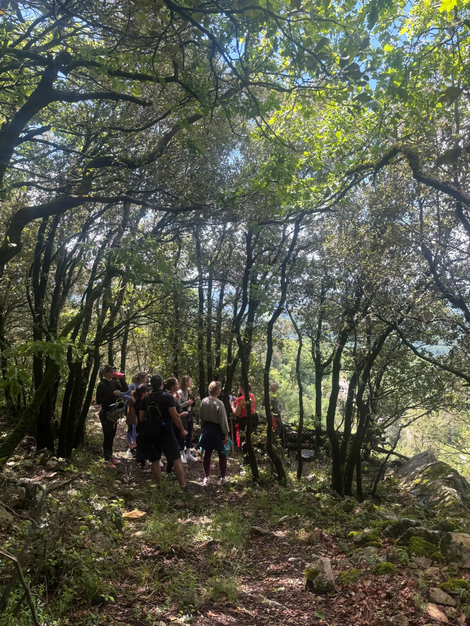 Yoga & Fitness Retreat in Tuscany