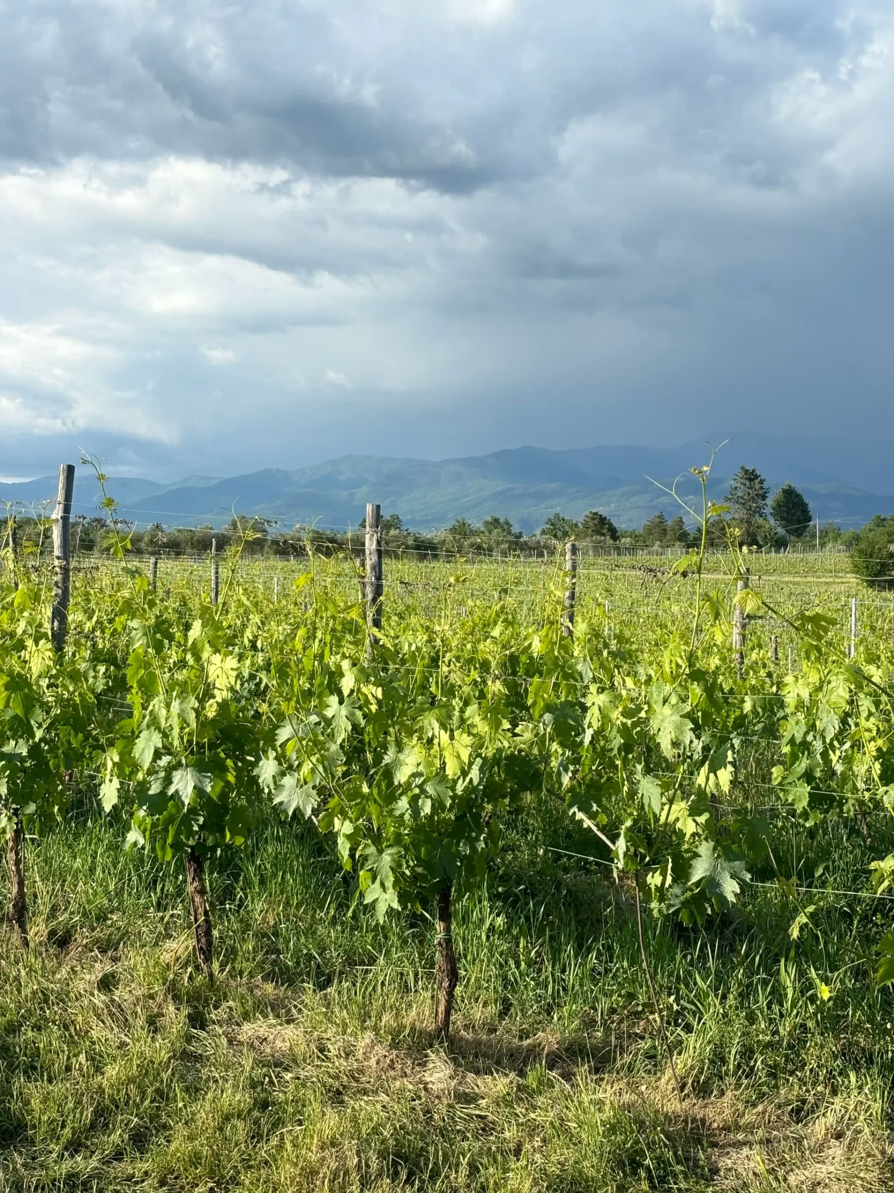 Yoga & Fitness Retreat in Tuscany