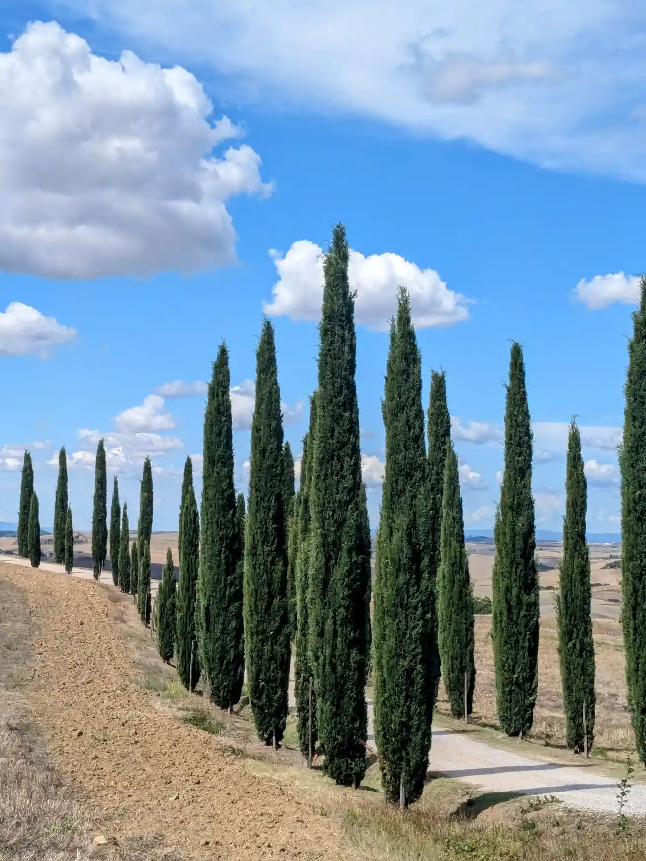 4 Night New Year retreat