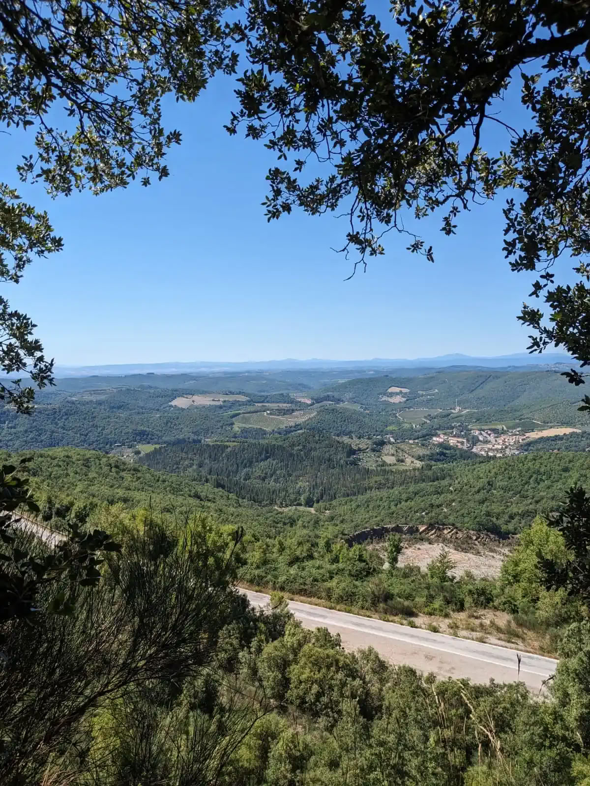 Yoga, Hiking and Horse riding