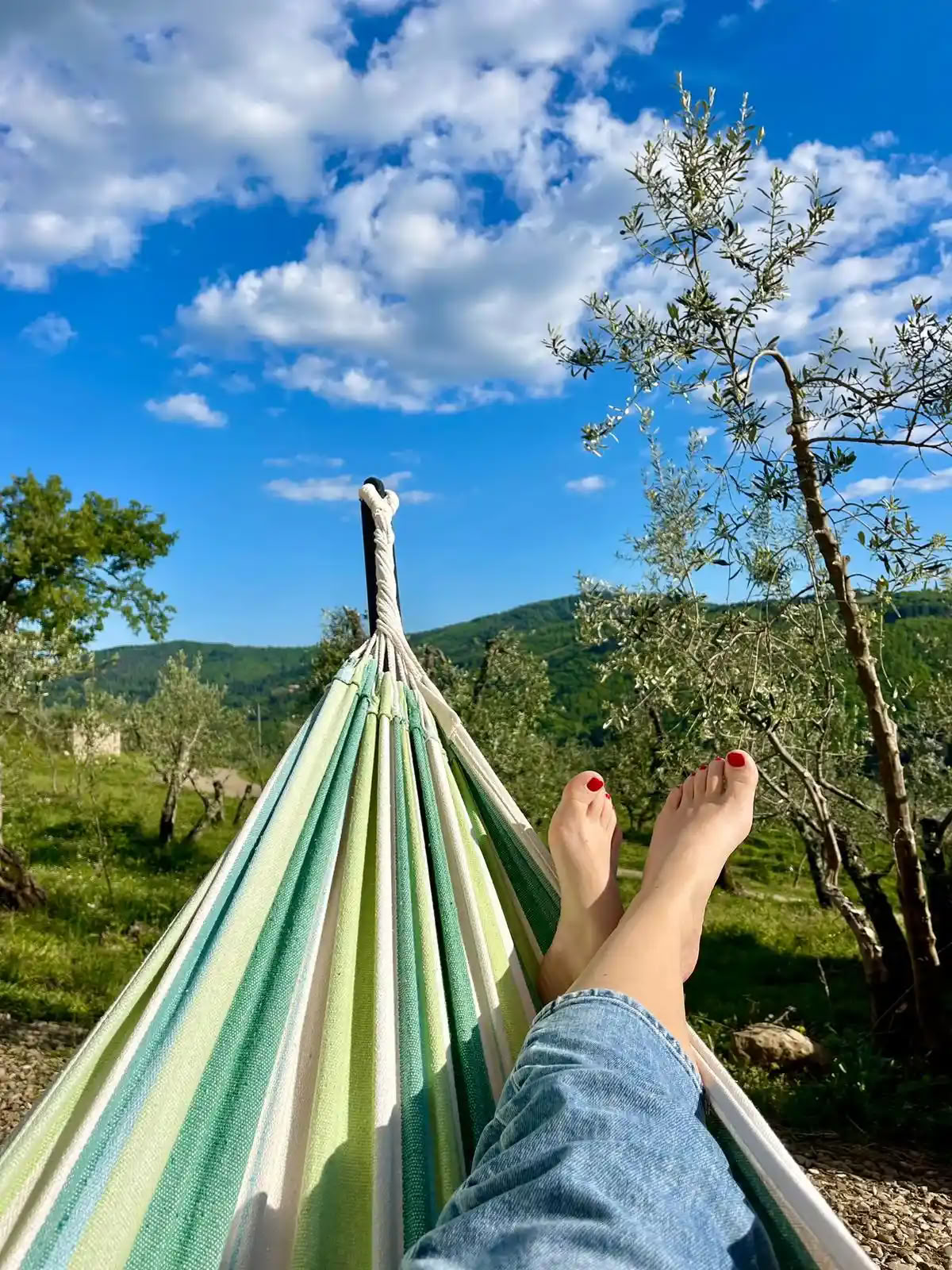 Yoga, Hiking and Horse riding