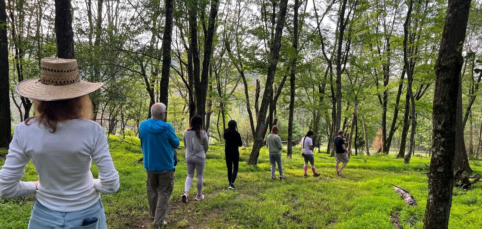 Summer Serenity Yoga Retreat