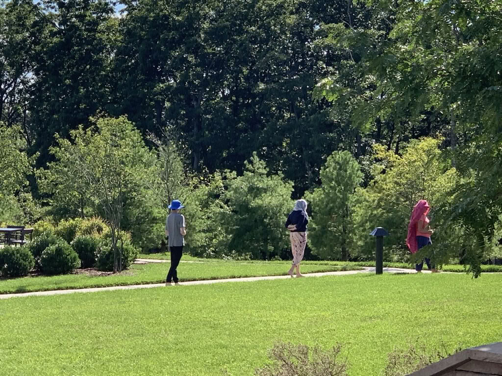 Buddhist Meditation: Cultivate Wellbeing through the Skills of Awareness