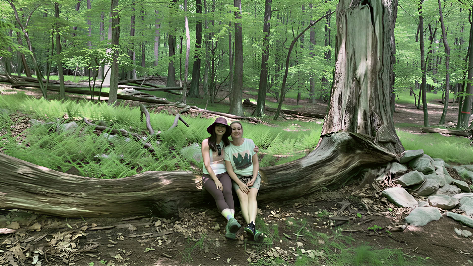 Write Now. A Summer Retreat for Writers