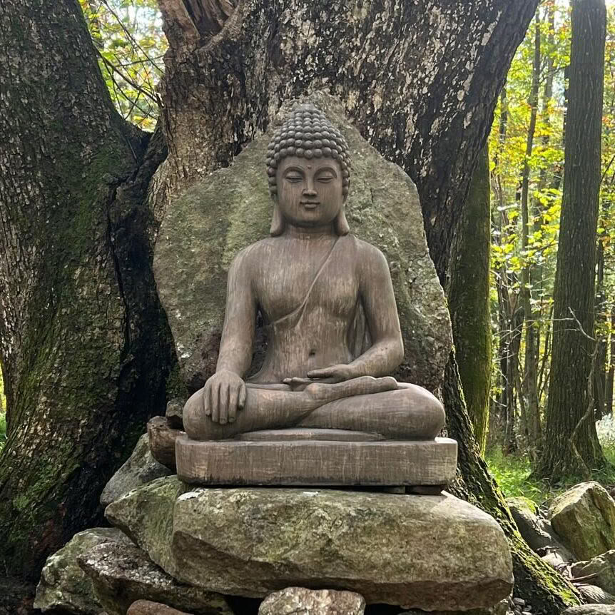 Awakening Amidst the World's Turbulence: An Insight Dialogue Retreat