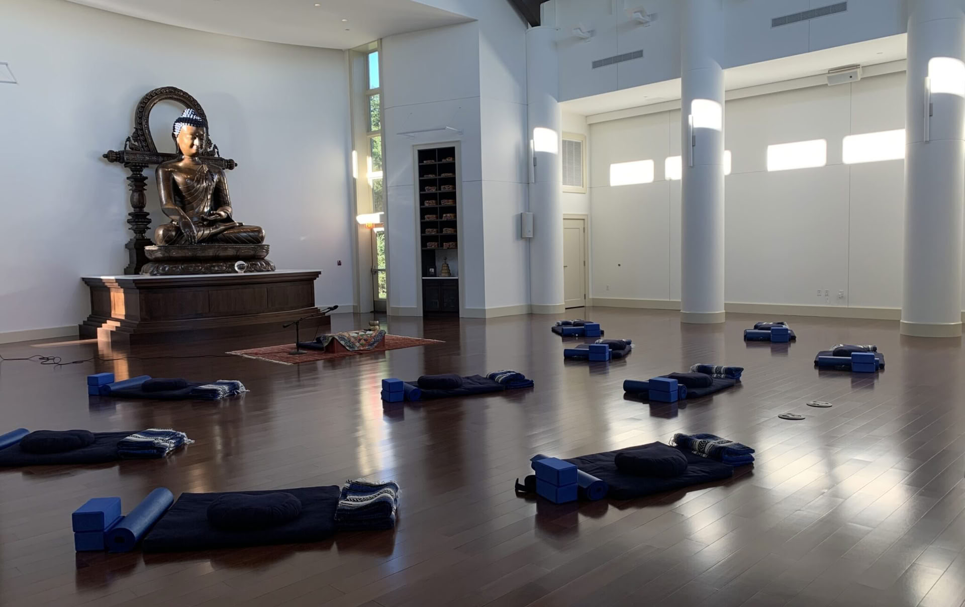 Awakening Amidst the World's Turbulence: An Insight Dialogue Retreat