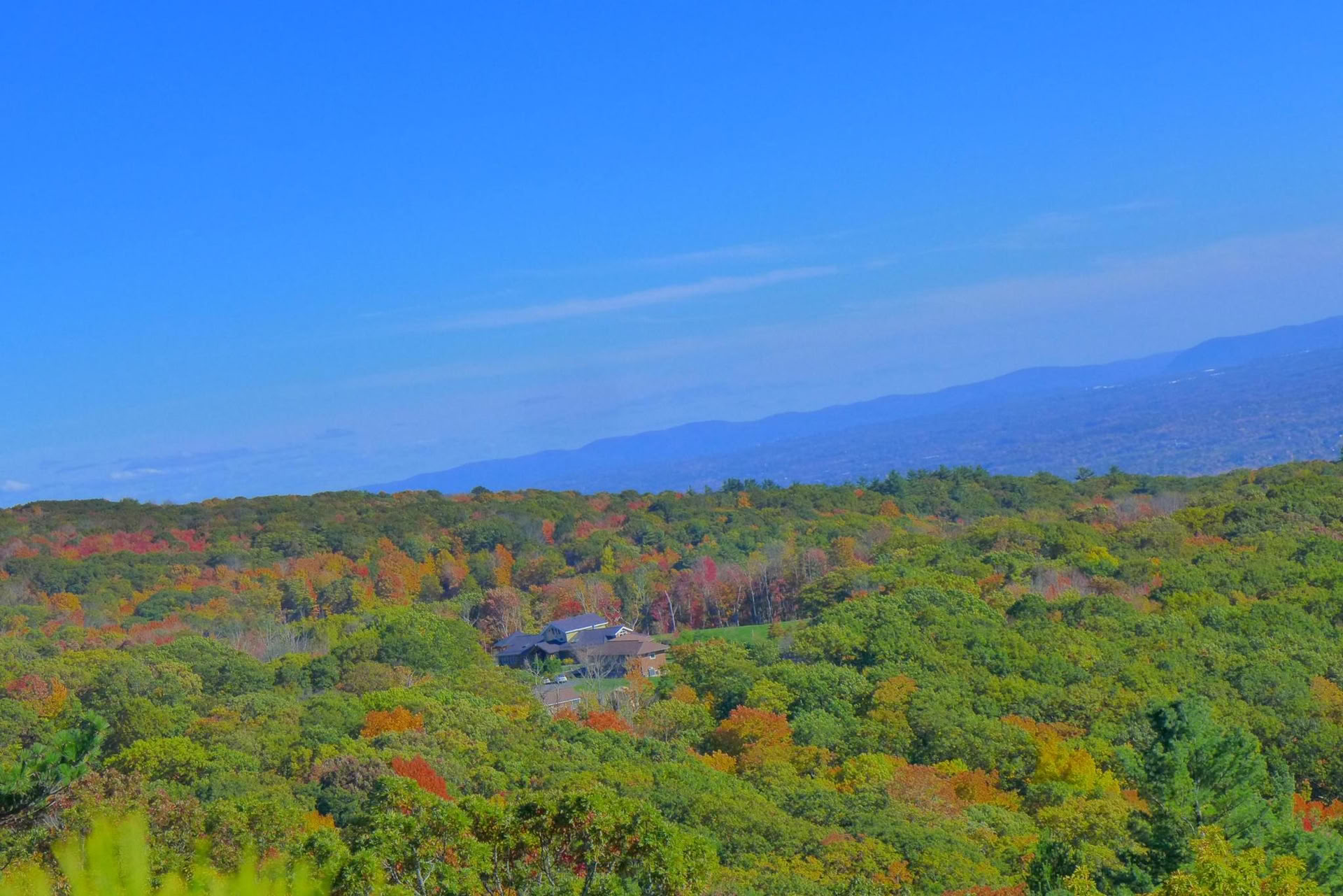 The Power of Silence: A Silent Retreat for Body, Mind, and Spirit