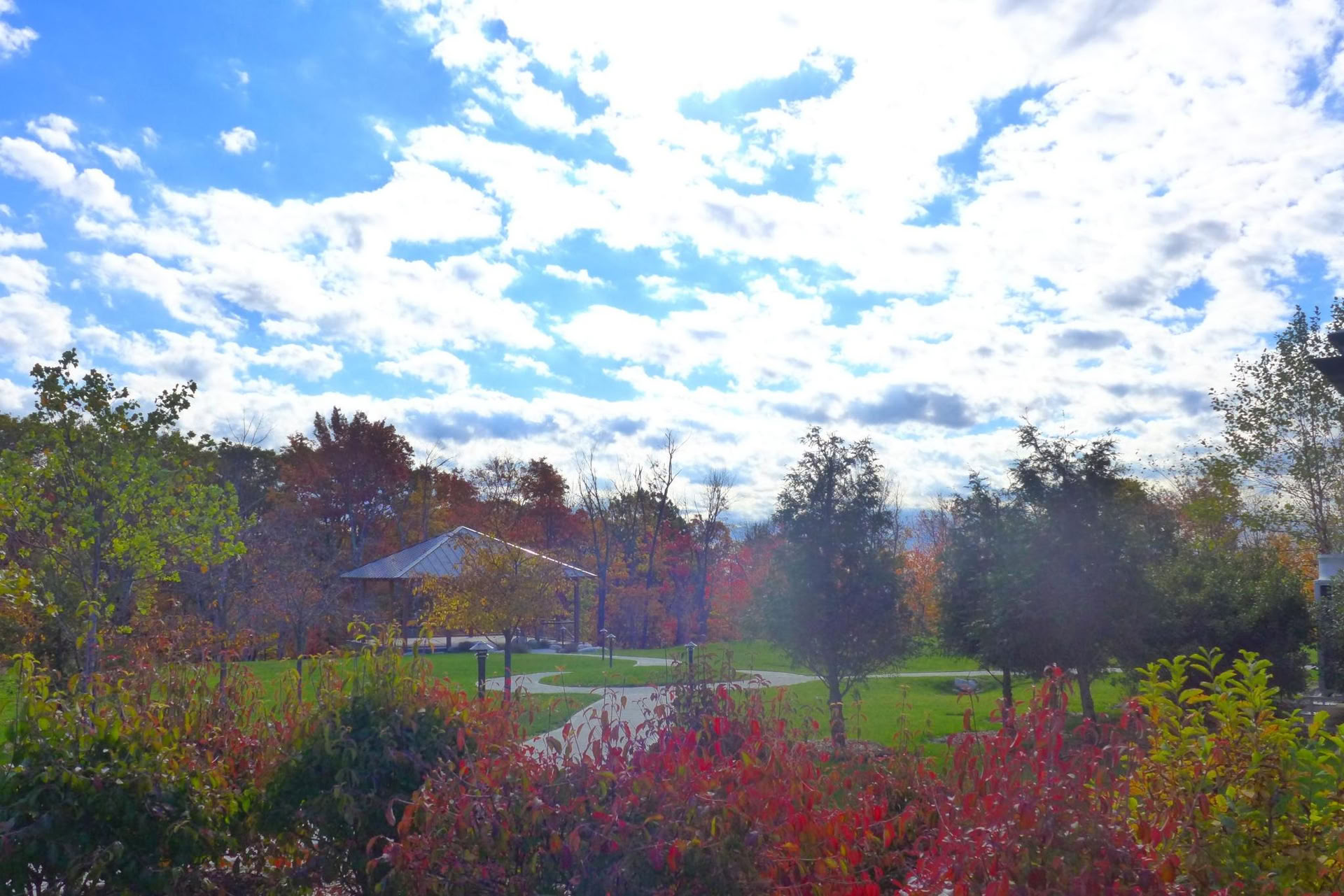 The Power of Silence: A Silent Retreat for Body, Mind, and Spirit