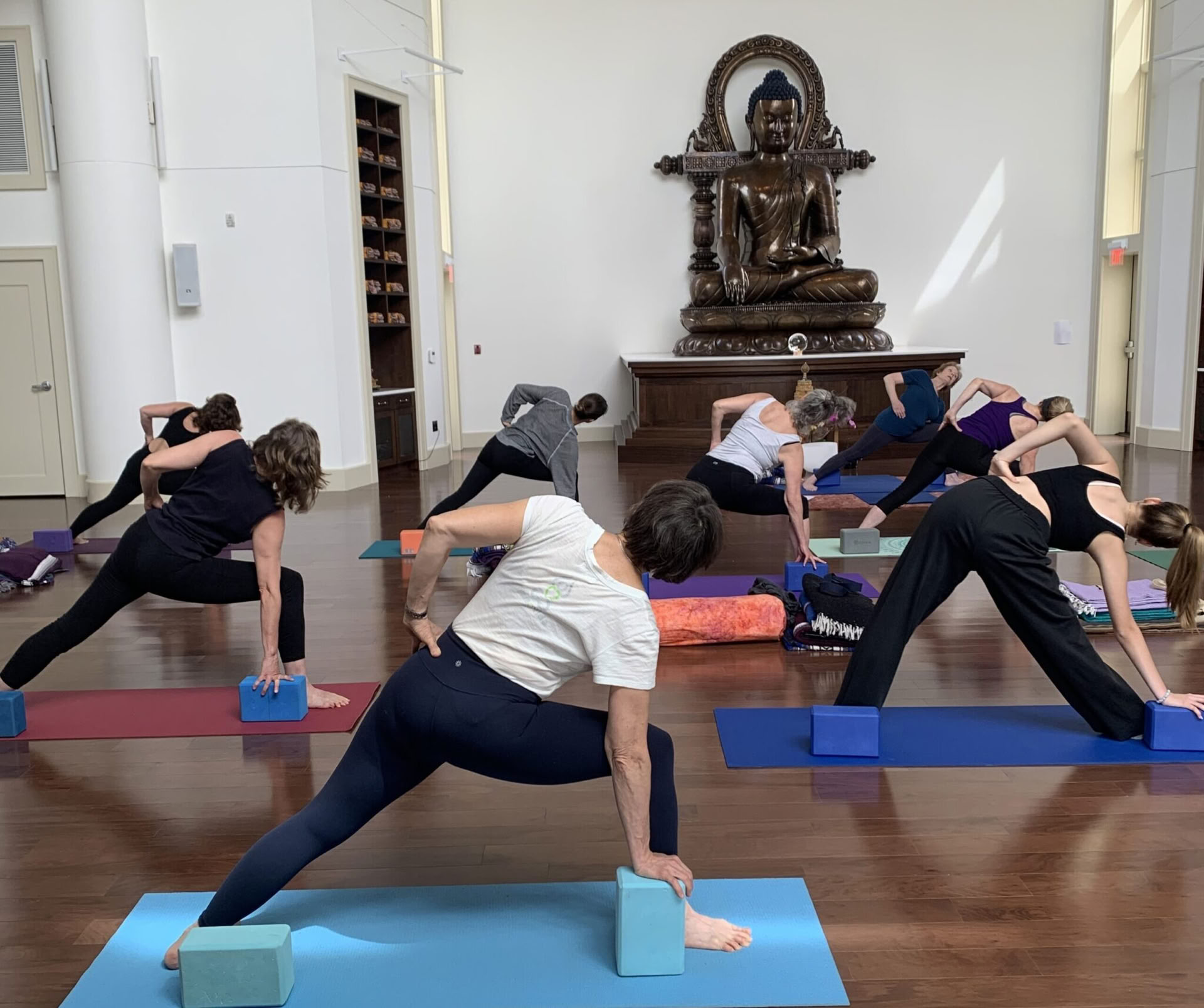 The Practice of Yoga, the Iyengar Way