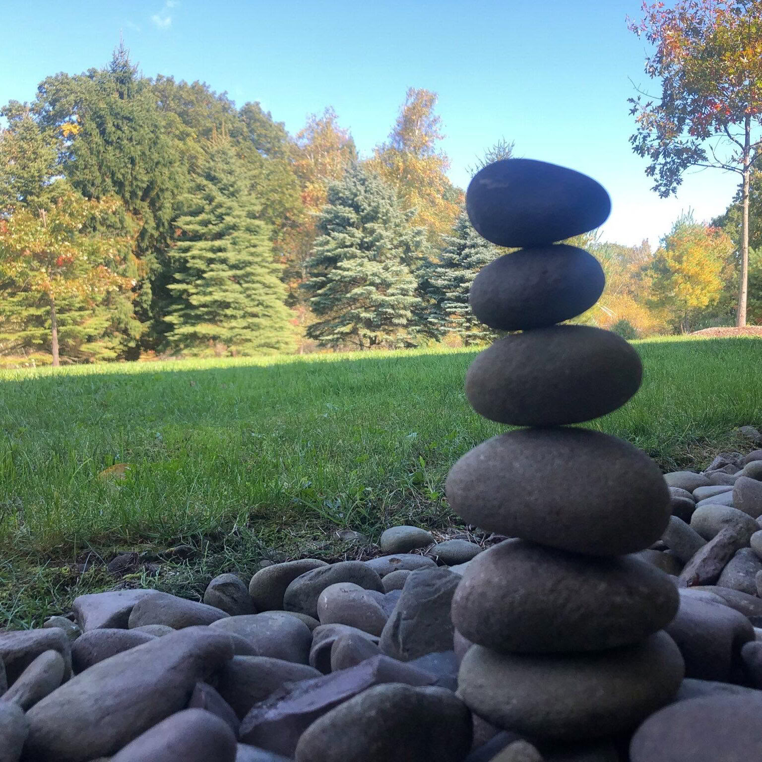 Cultivating a Healing and Generous Abundance