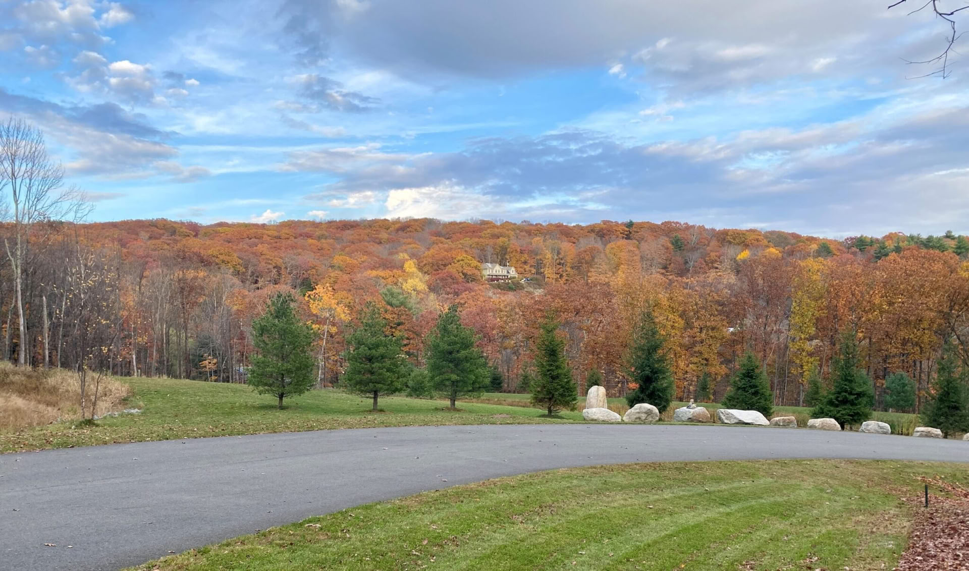 Self Care & Energy Repair