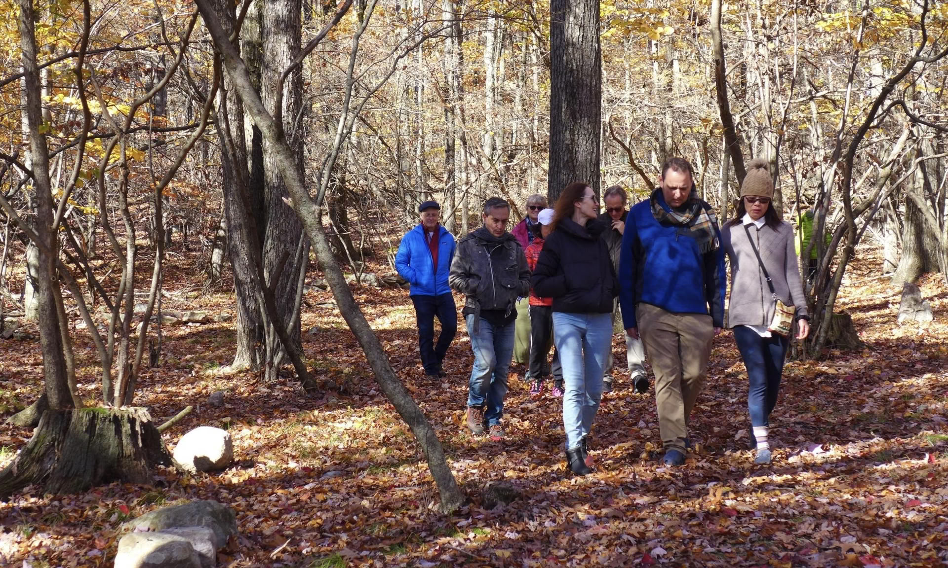 Autumnal Awakening Yoga Retreat