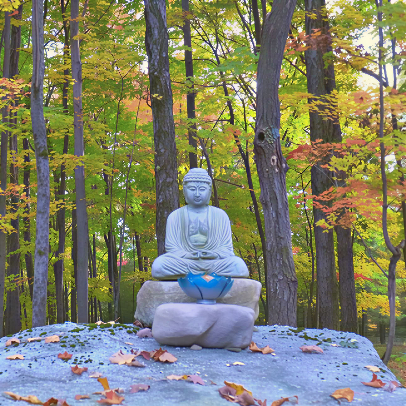 Upcoming Programs by John Henderson – Just Be: A Springtime Personal Retreat