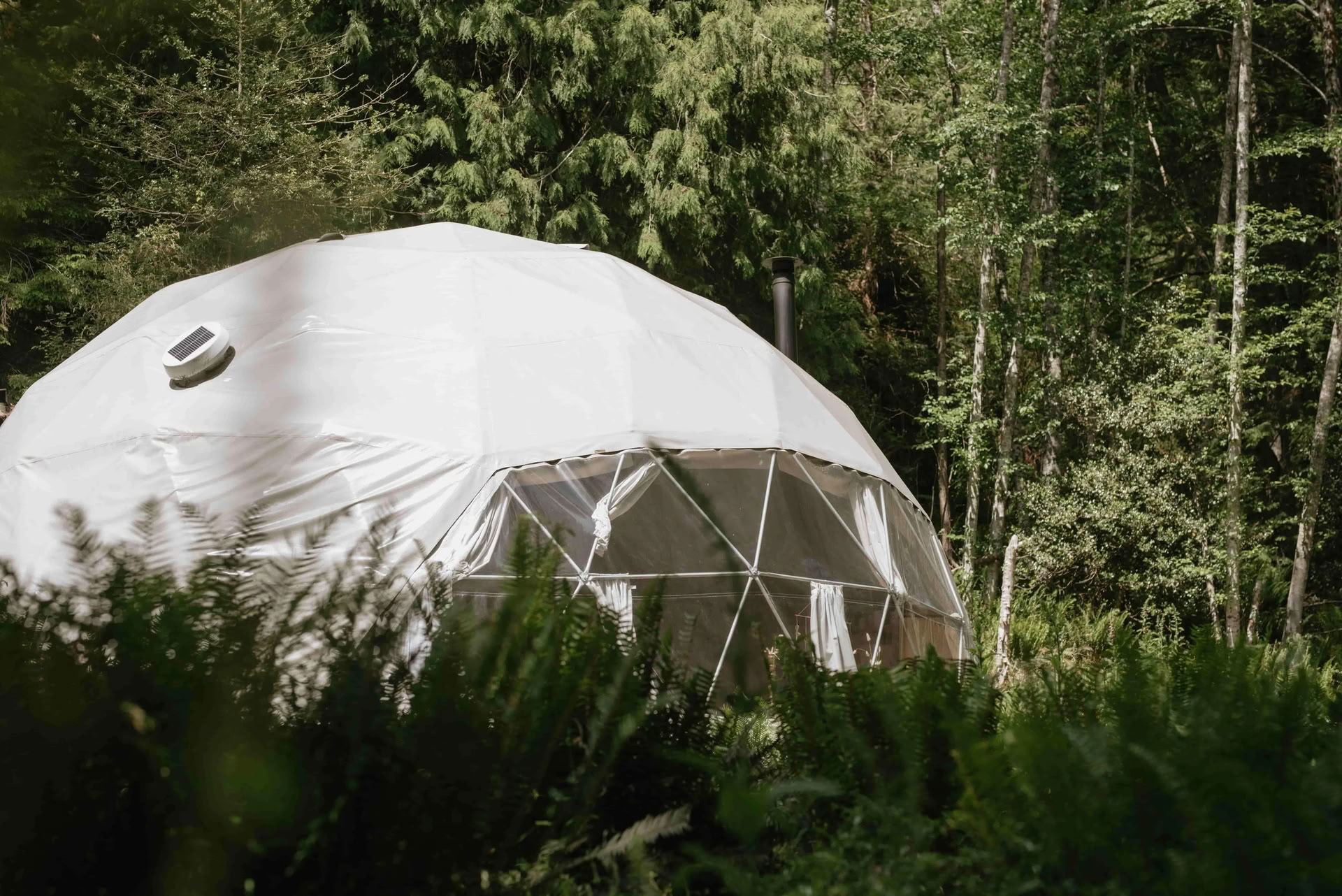 Ceremonial Yin Yoga With Harmony | Nectar Yoga on Bowen Island