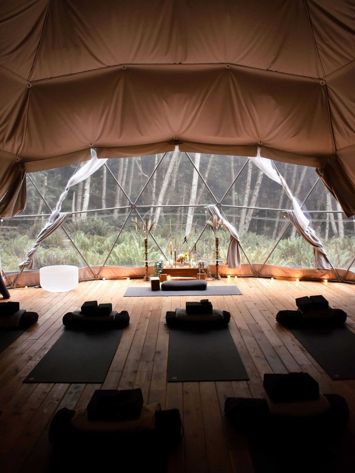 SOLD OUT | 'Hello Joy!' First Bloom - The Playful Life Arts and Movement Retreat with Madelyn Mulvaney | Nectar Yoga Retreat