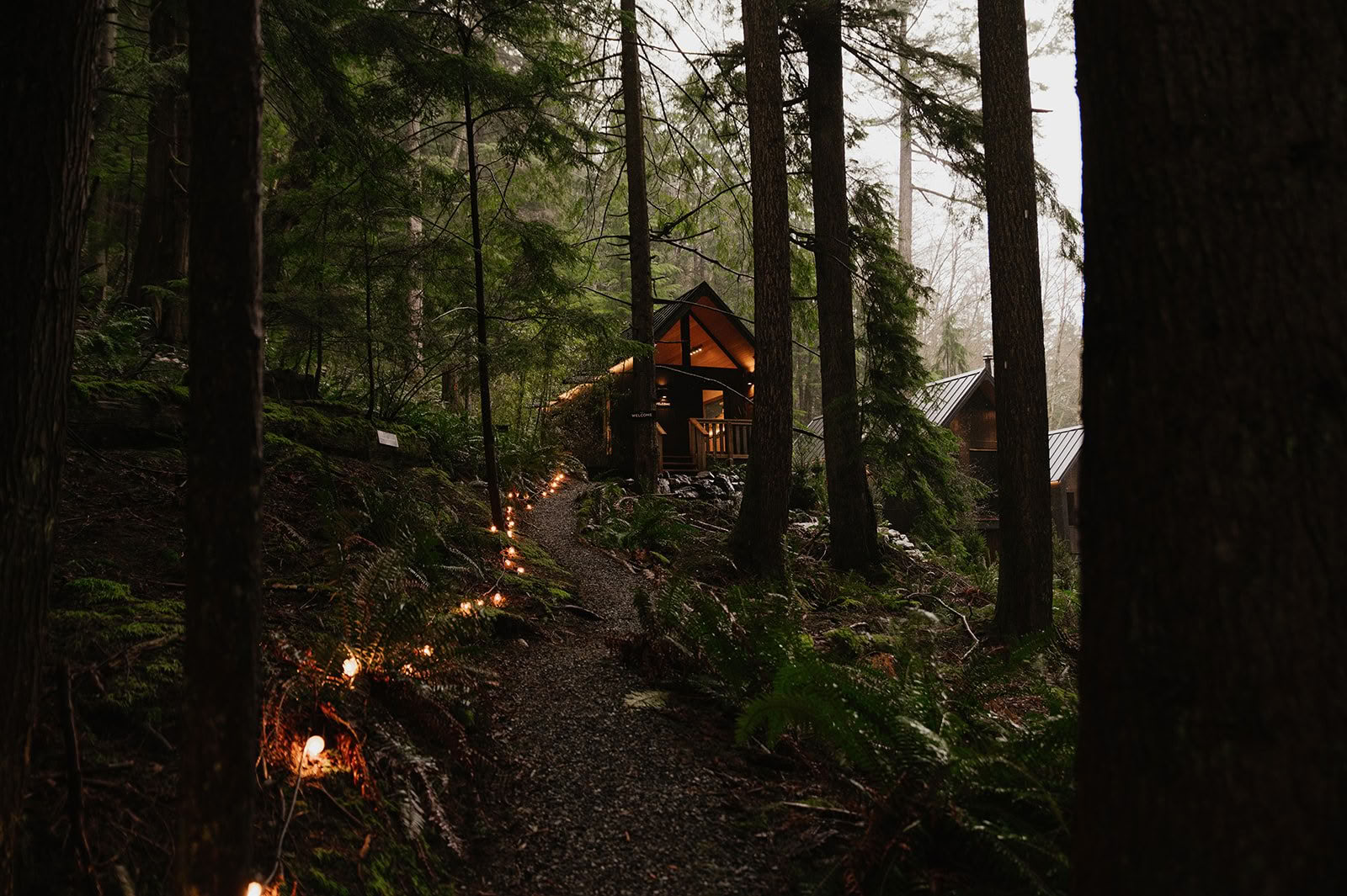 Yoga, Nature & Connection Retreat with Love Elevate Yoga — Nectar Yoga