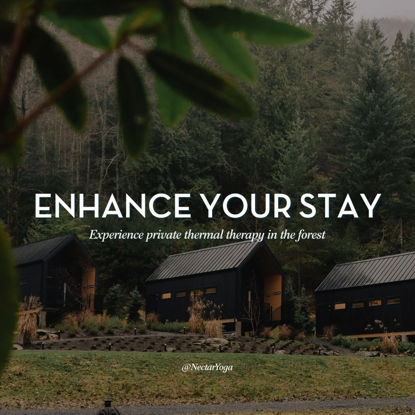 Rooted Heart Yoga and Wellness Retreat | Bowen Island Yoga