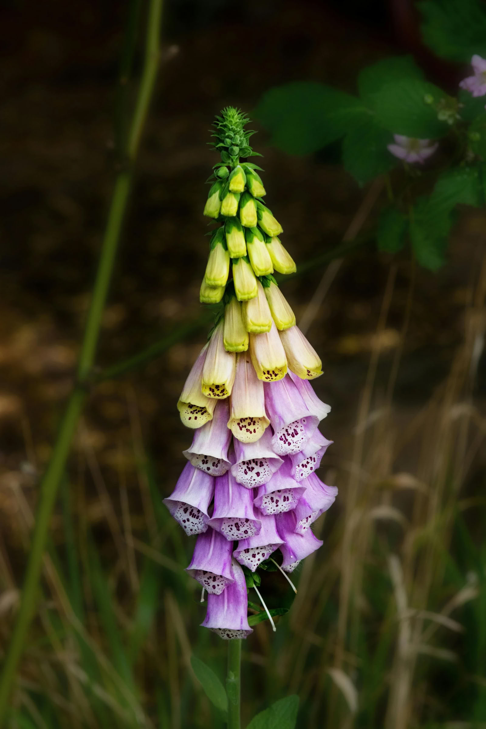 Art + Yoga Creativity Retreat | Kintsugi — Nectar Yoga