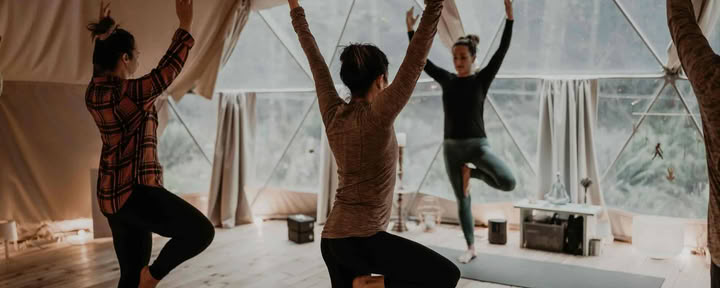 Movement and Mindfulness Day Retreat