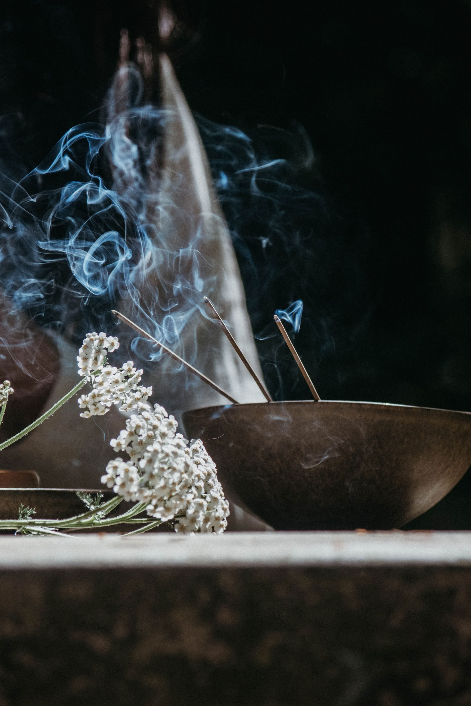 Quiet Bloom Day Retreat