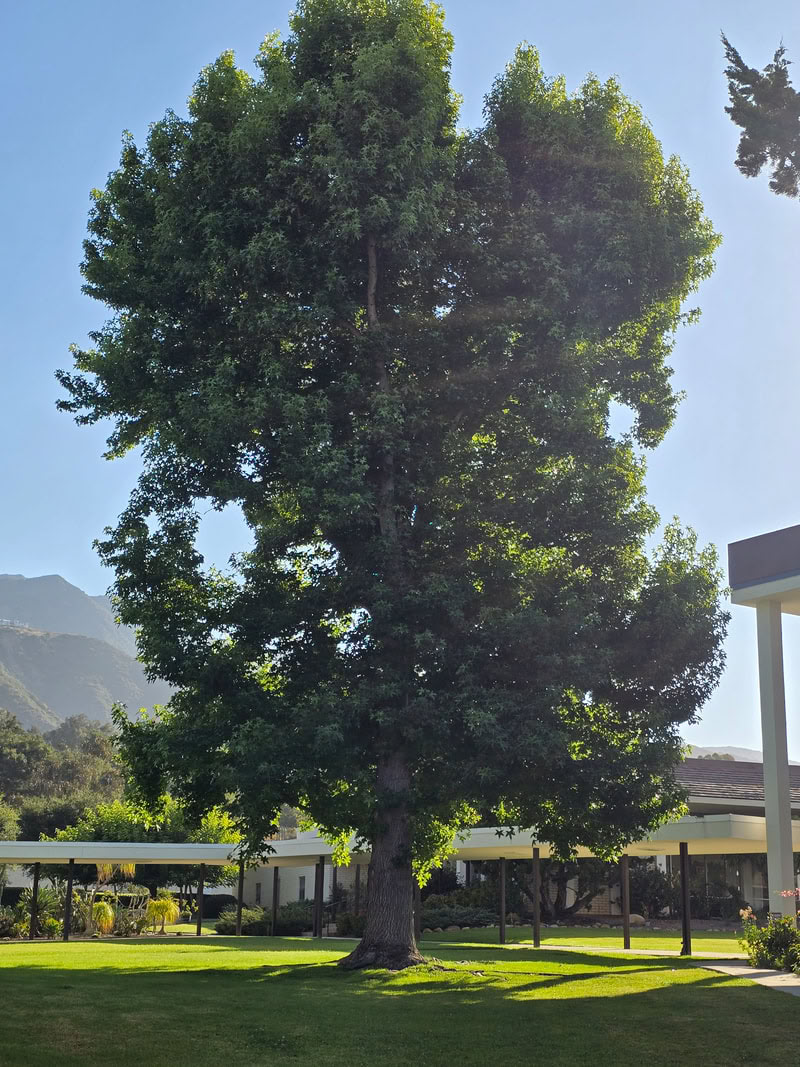 Meditation Retreat in Assisi