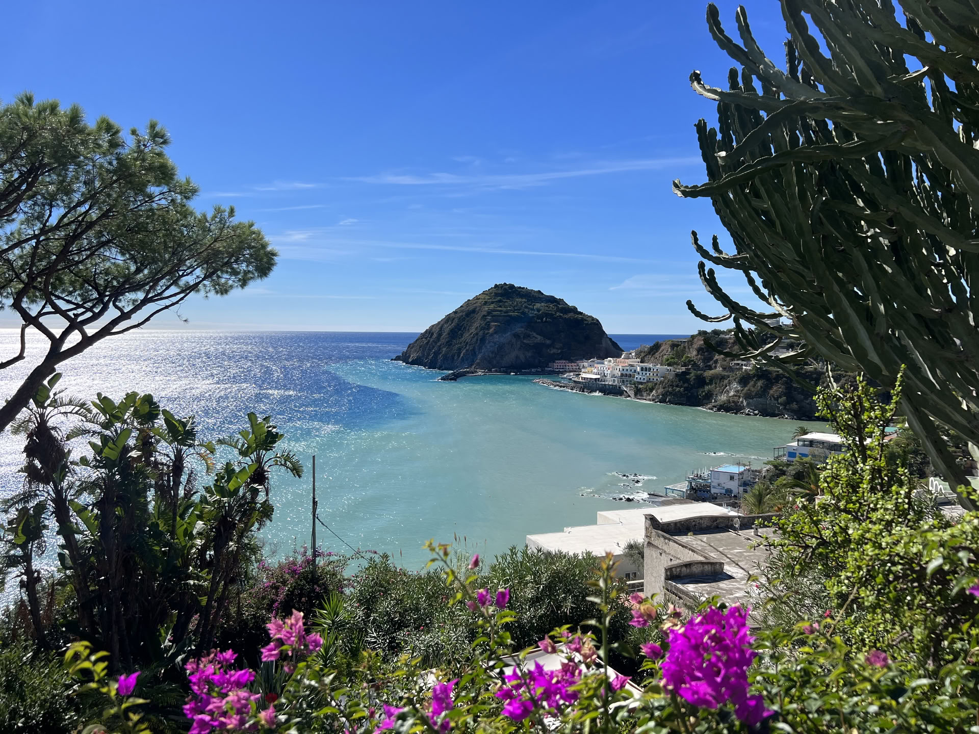 Jul 18 Enlighten Life Summer Retreat - Sangha Only