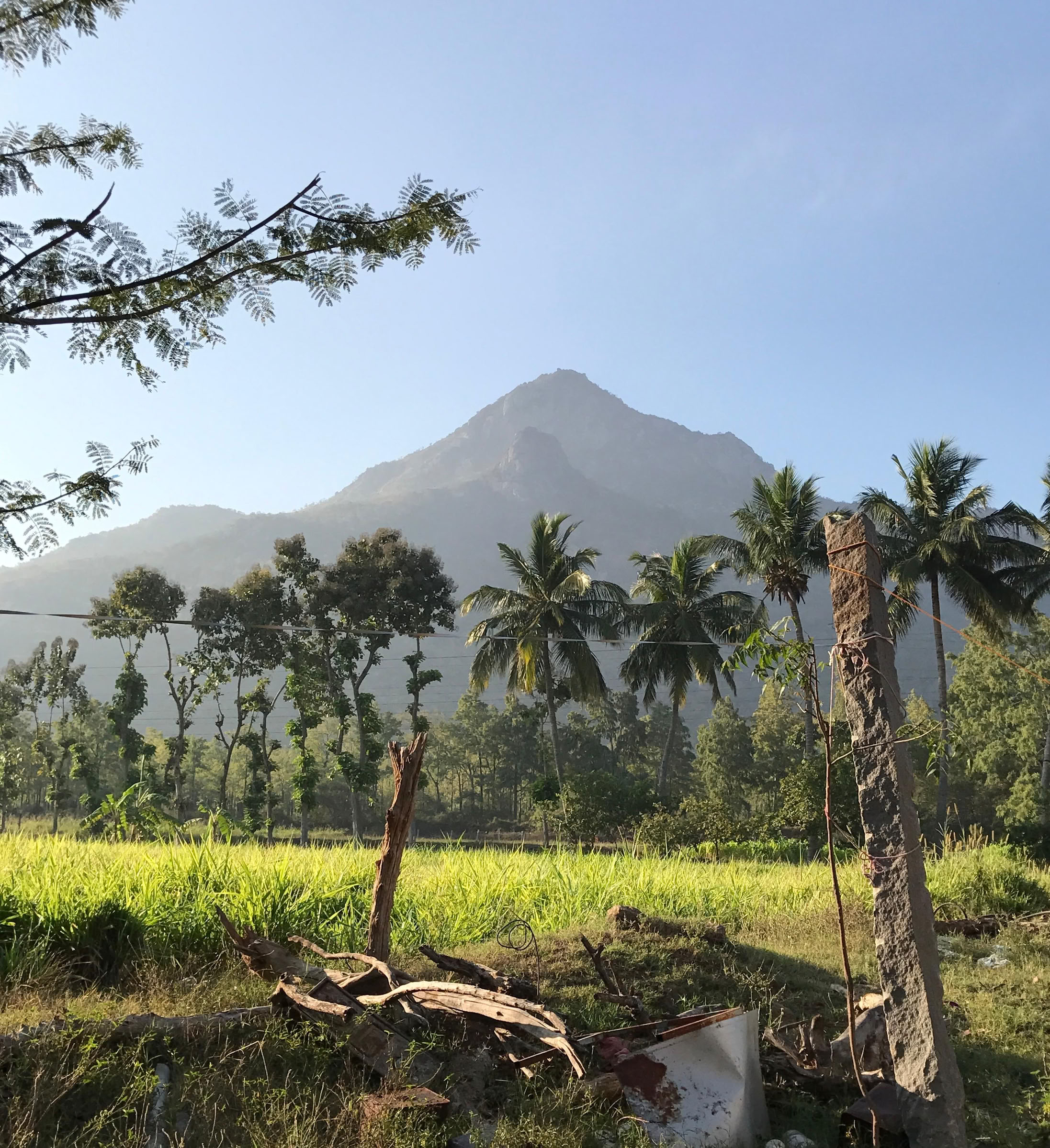 21-Day Silent Meditation Detox Ashram Retreat India