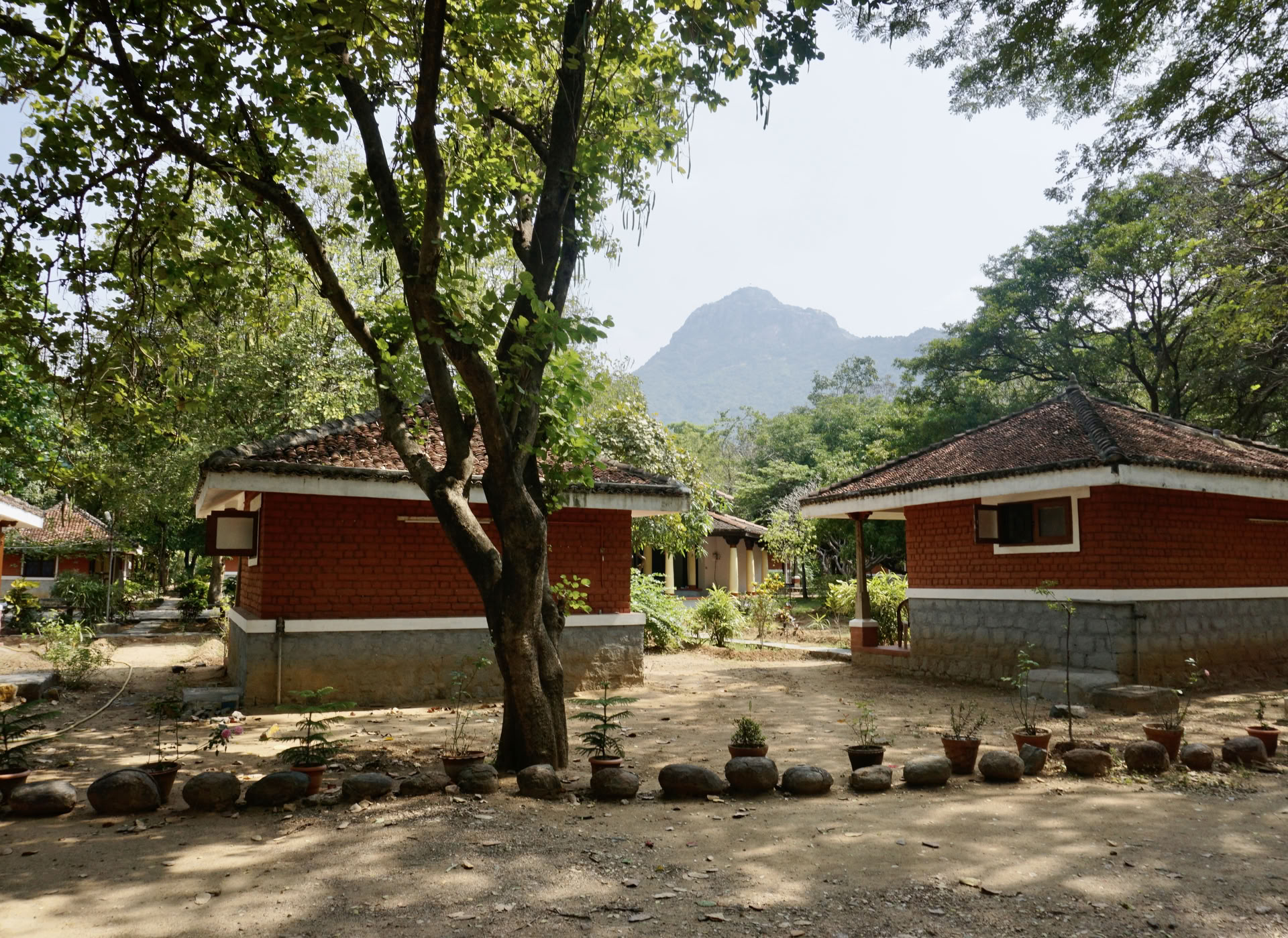21-Day Silent Meditation Detox Ashram Retreat India