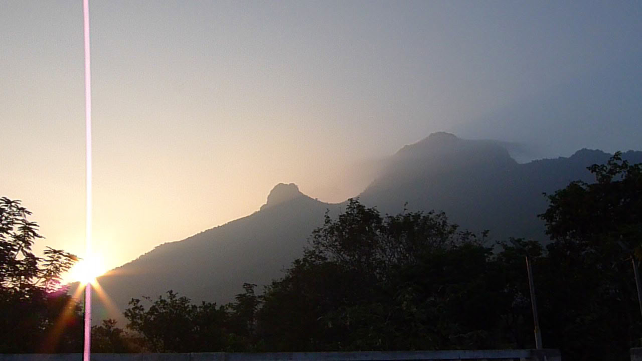 21-Day Silent Meditation Detox Ashram Retreat India