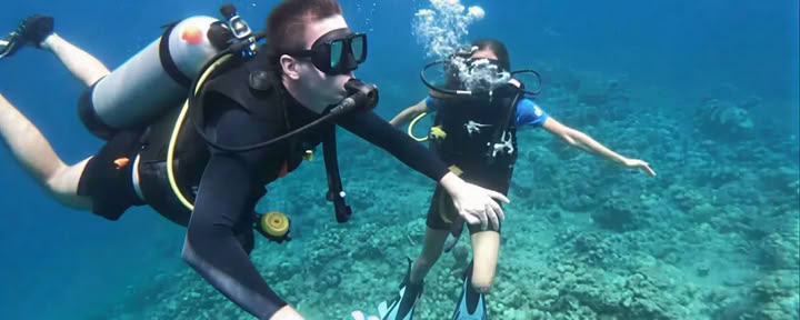 Menjangan Island Diving
