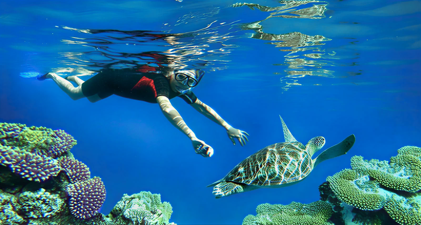 Reef Adventures: Lovina Snorkeling