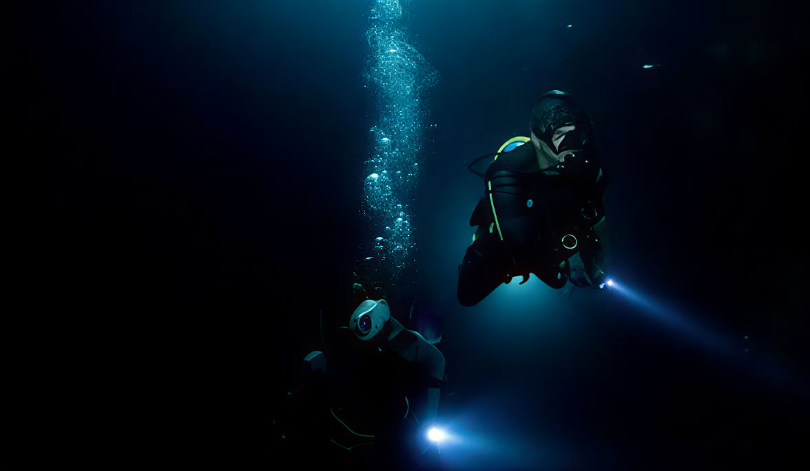 Night Diving in Lovina Reef