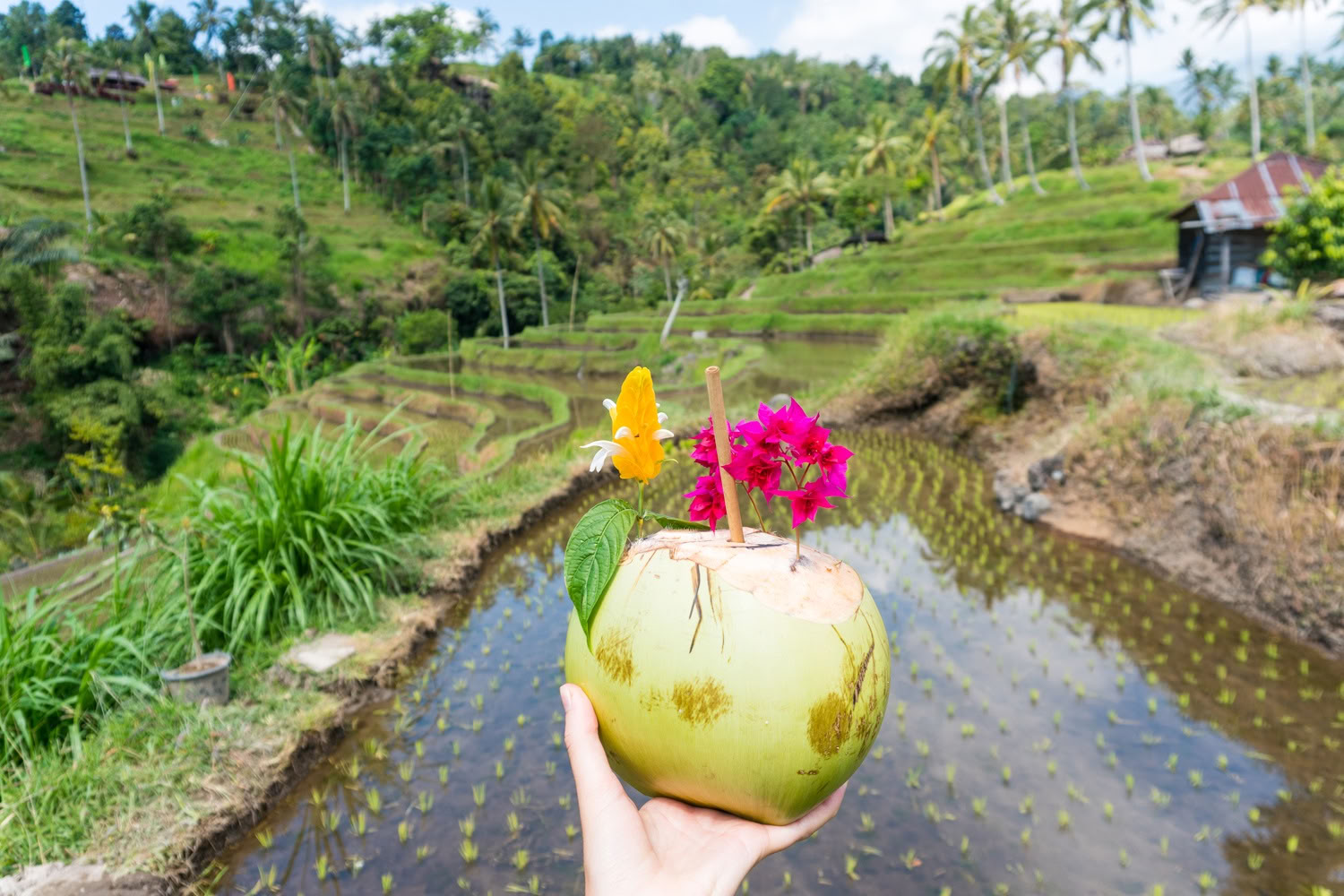 Lemukih Trekking Adventure