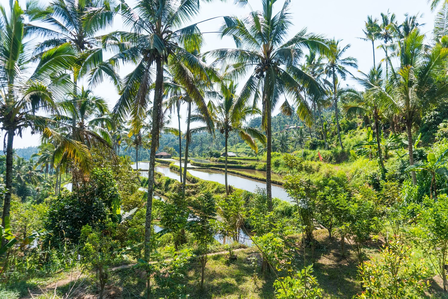 Lemukih Trekking Adventure