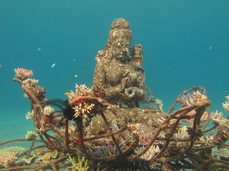 Pemuteran Tour with Snorkeling