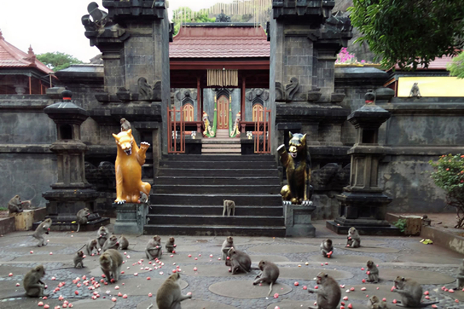 Pemuteran Tour with Snorkeling