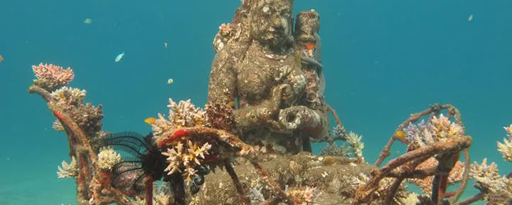 Pemuteran Tour with Snorkeling