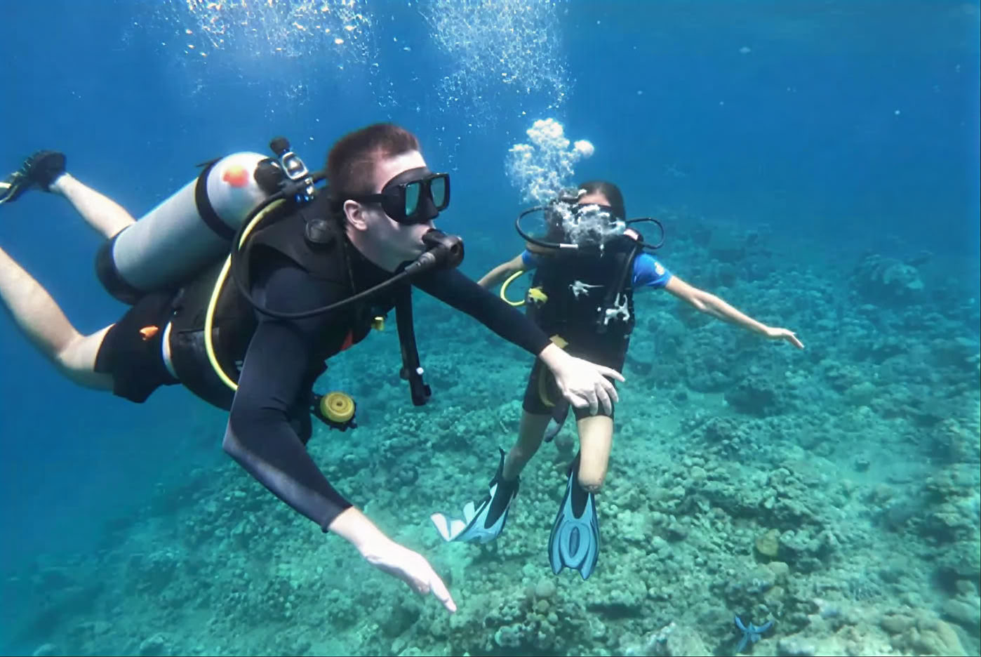 Menjangan Island - Fun Diving Tour