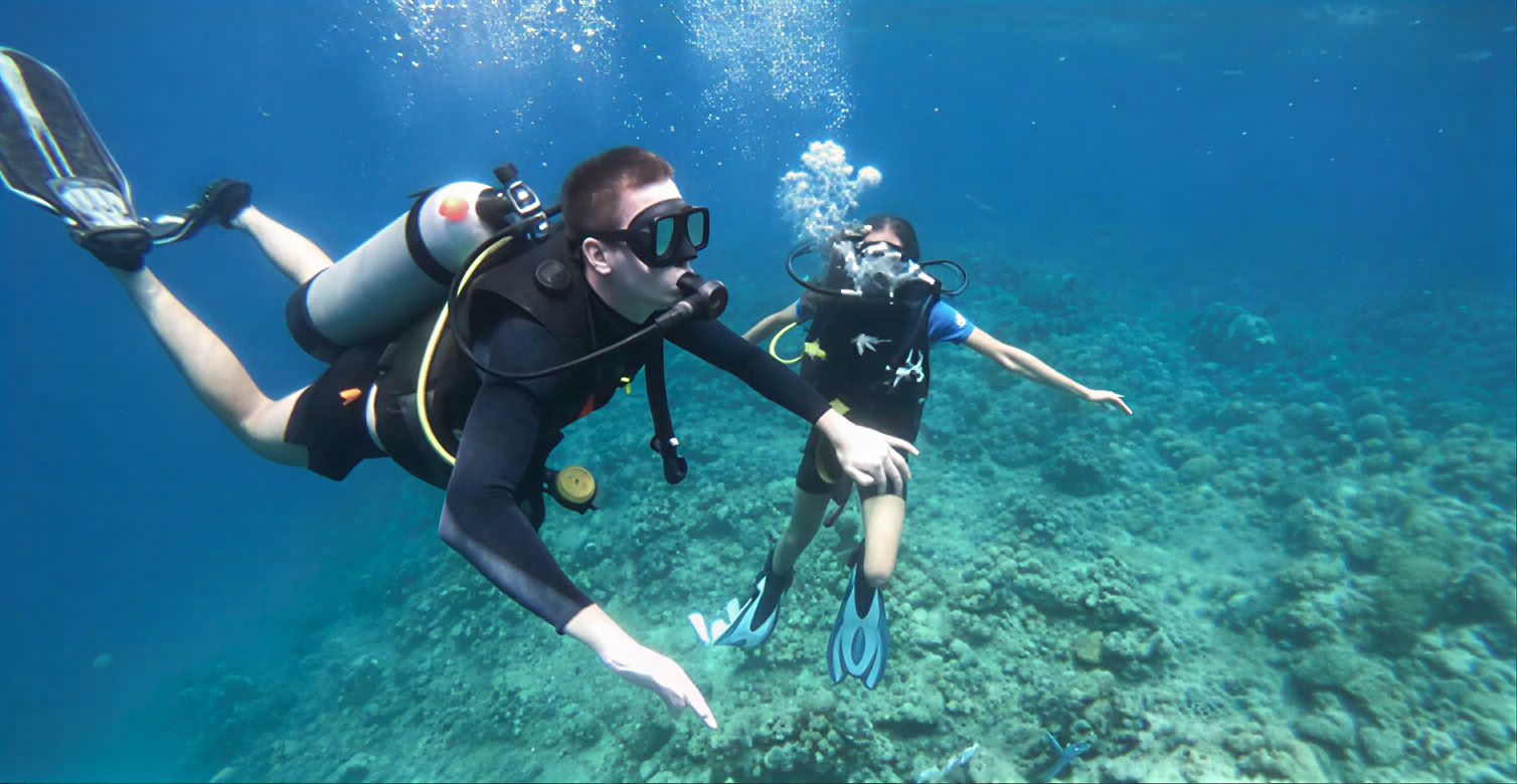 Menjangan Island - Fun Diving Tour