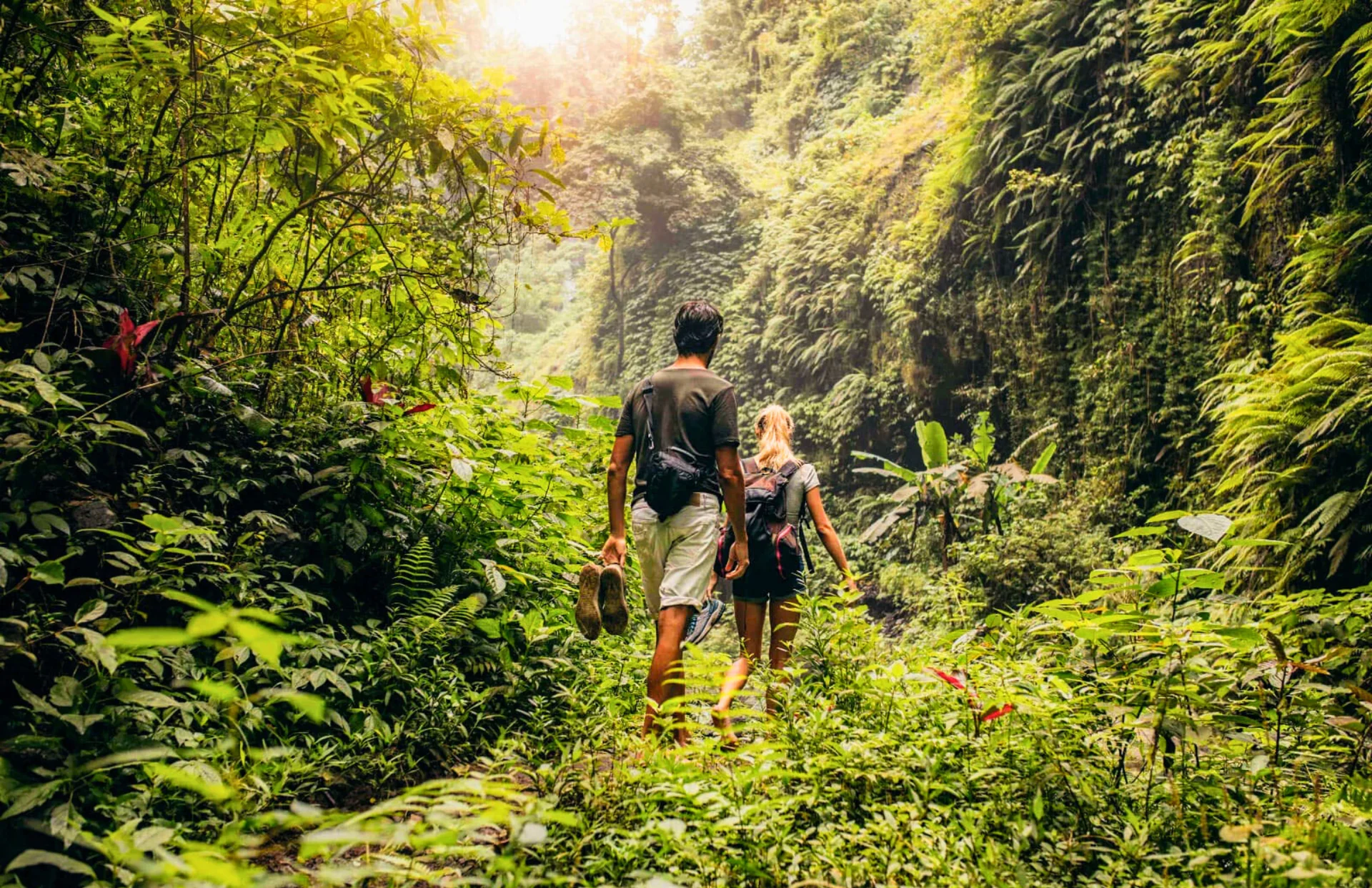 ZEN TREKKING AND WATERFALL DISCOVERY