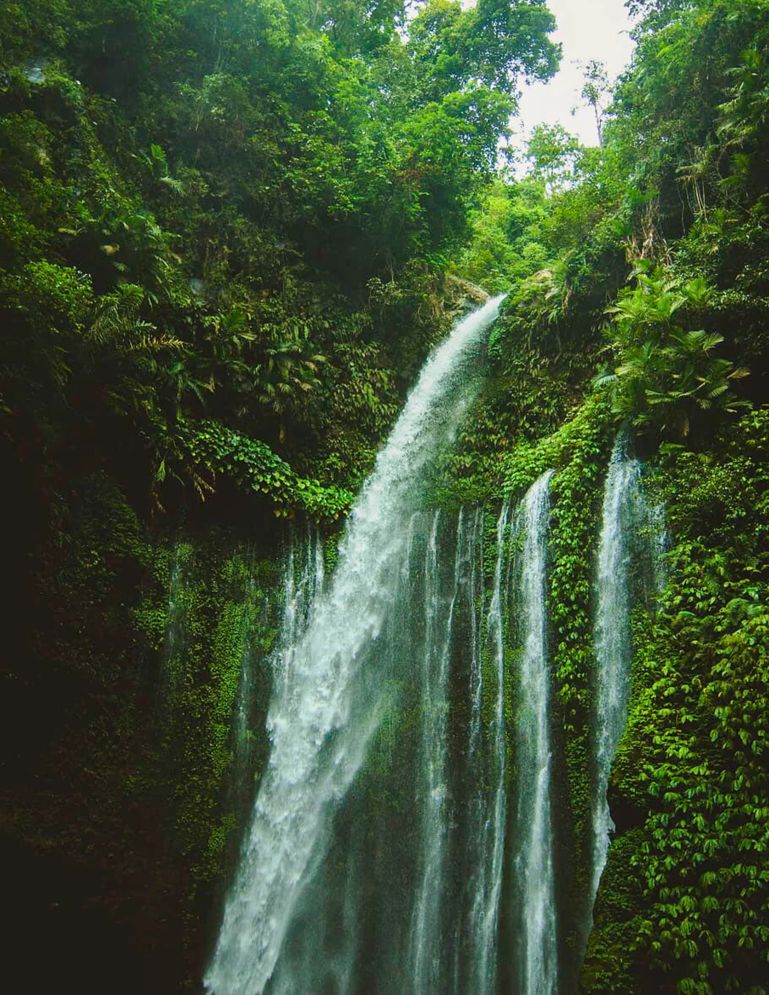 ZEN TREKKING AND WATERFALL DISCOVERY