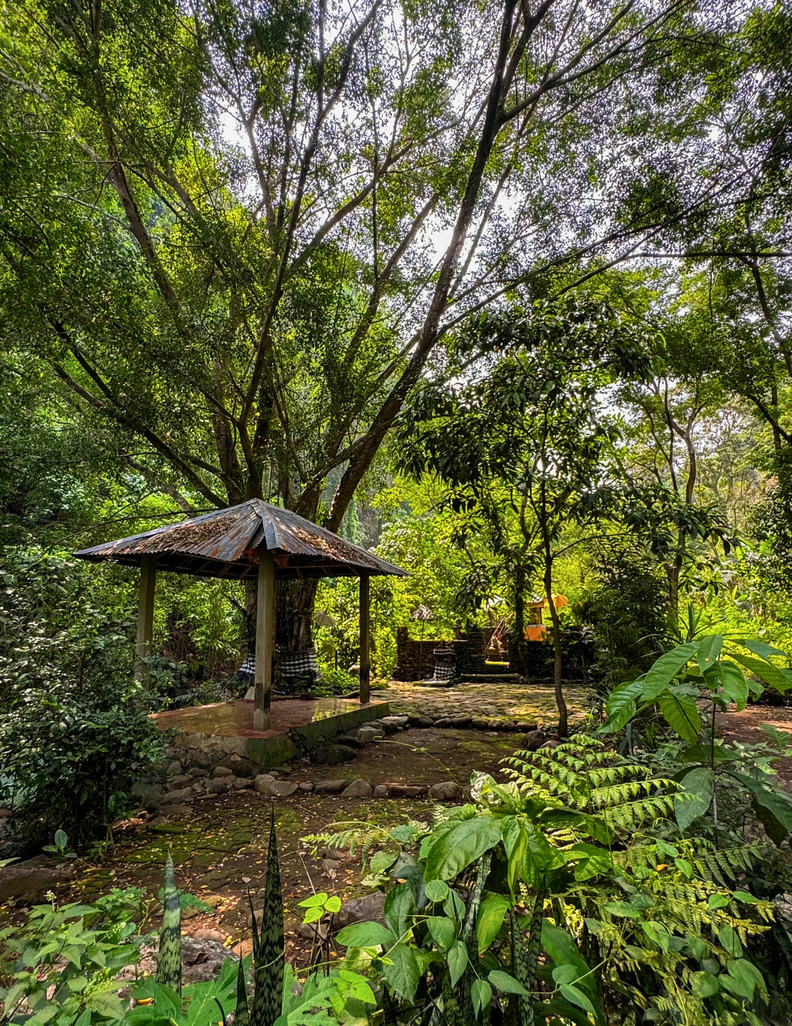 ZEN TREKKING AND WATERFALL DISCOVERY