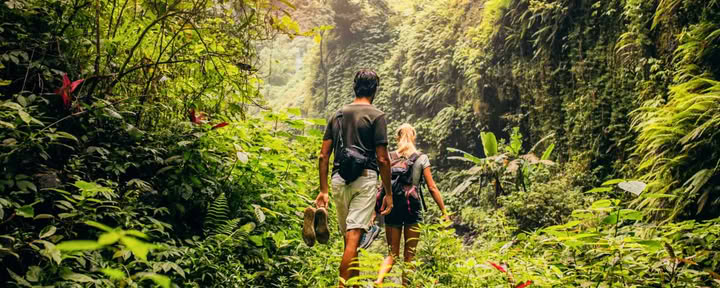 ZEN TREKKING AND WATERFALL DISCOVERY