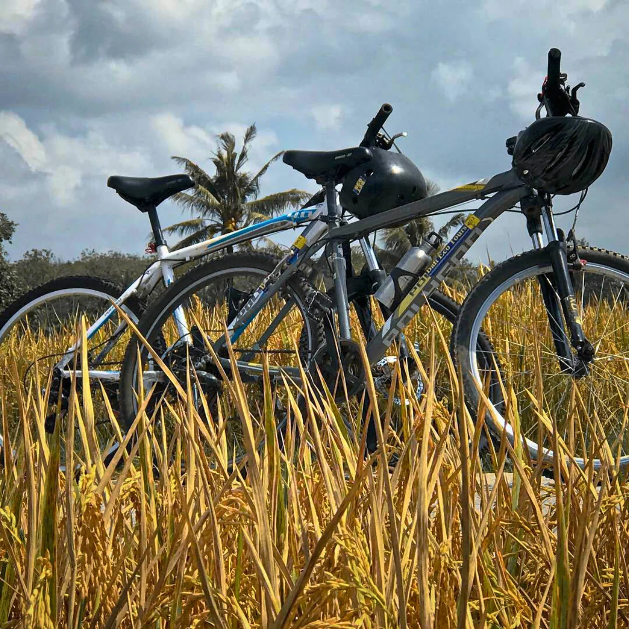 CULTURAL CYCLING ESCAPE