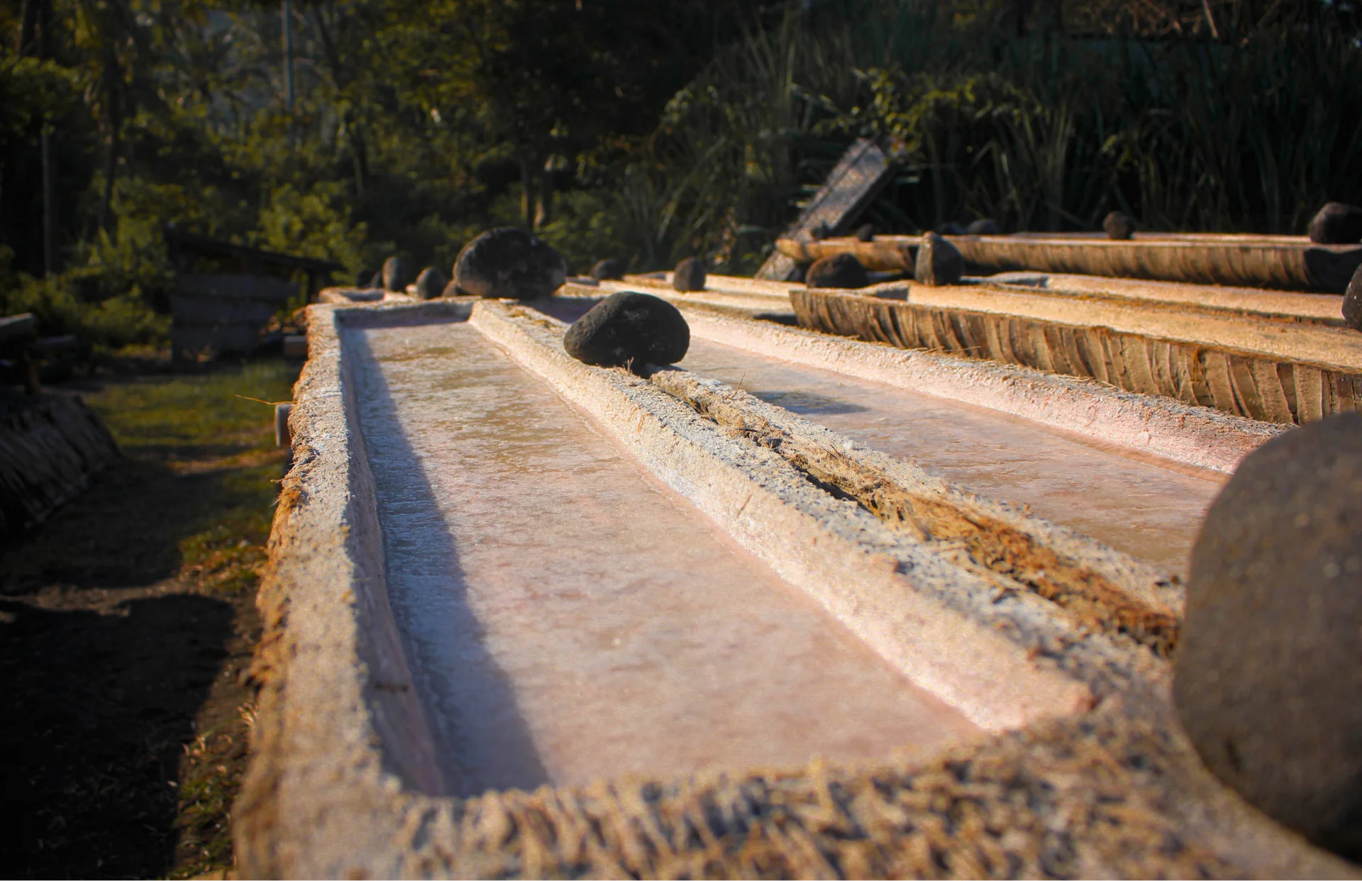 Balinese Salt Heritage