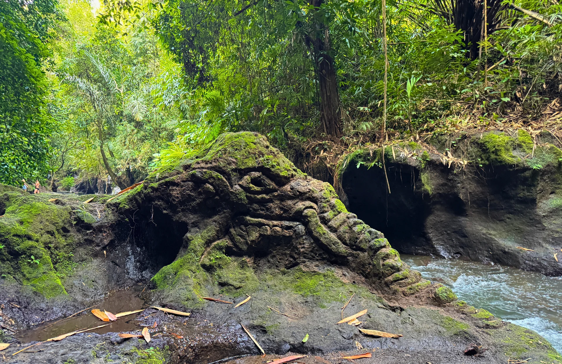 From Jungle Trails to Inner Peace