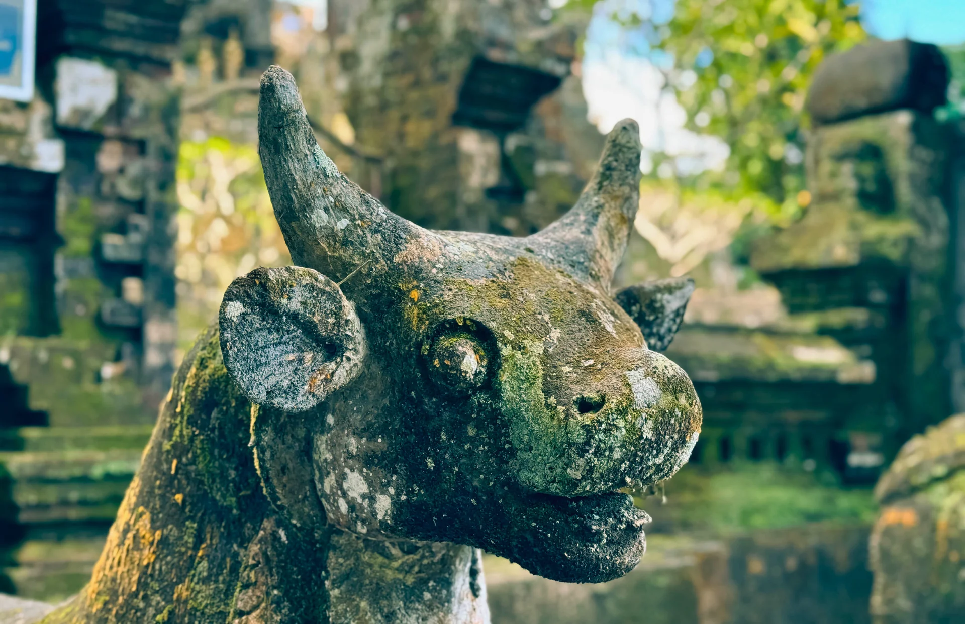 From Jungle Trails to Inner Peace