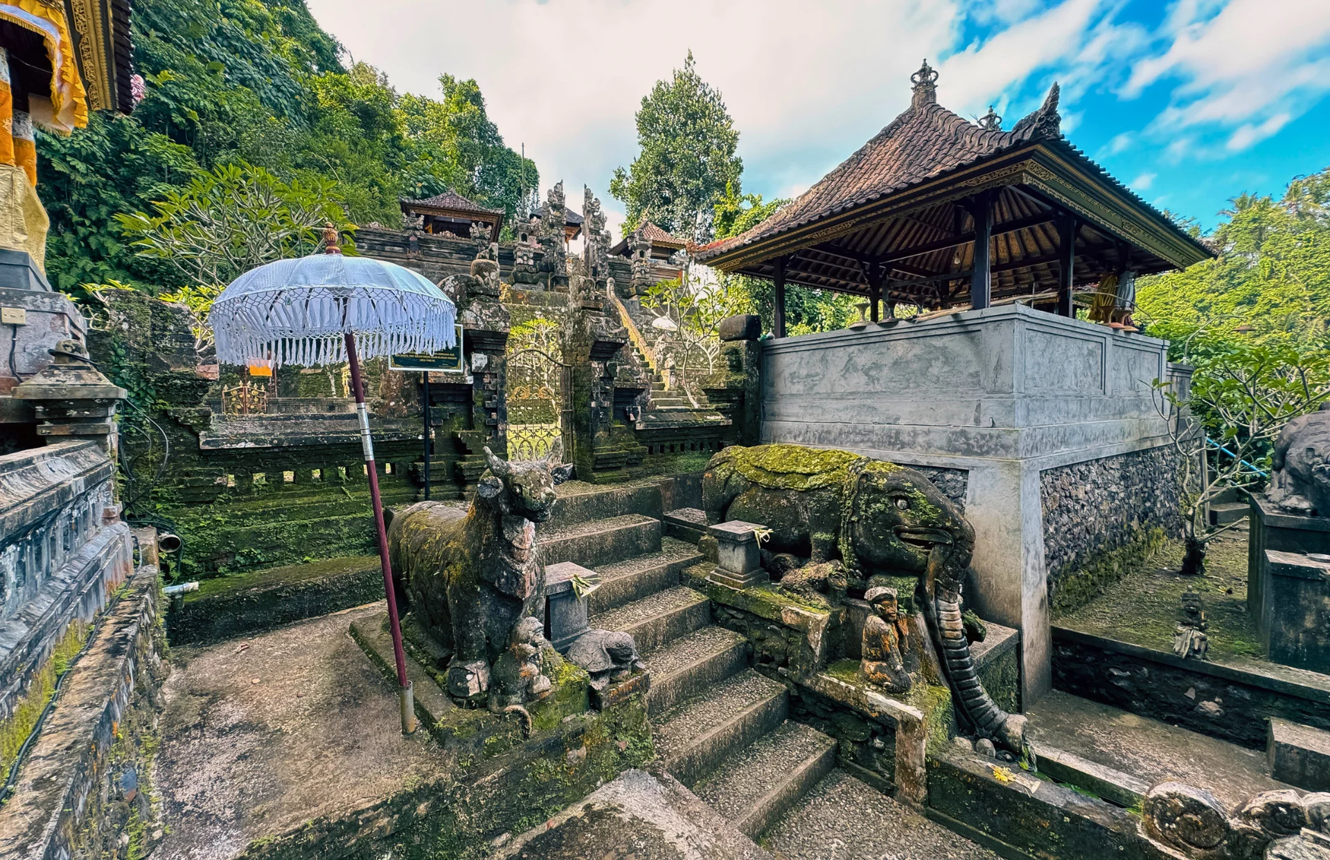 From Jungle Trails to Inner Peace