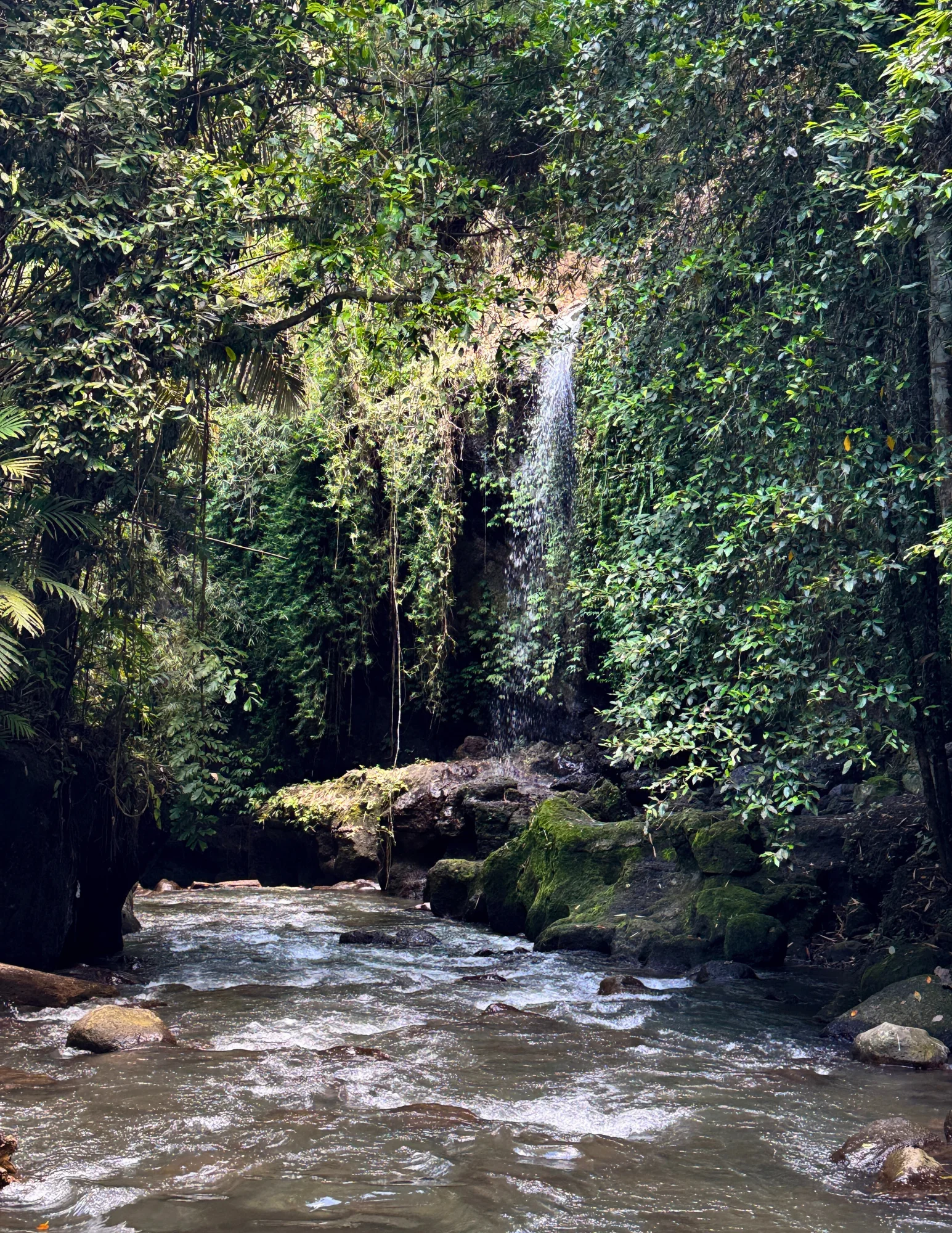 From Jungle Trails to Inner Peace